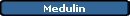 Medulin