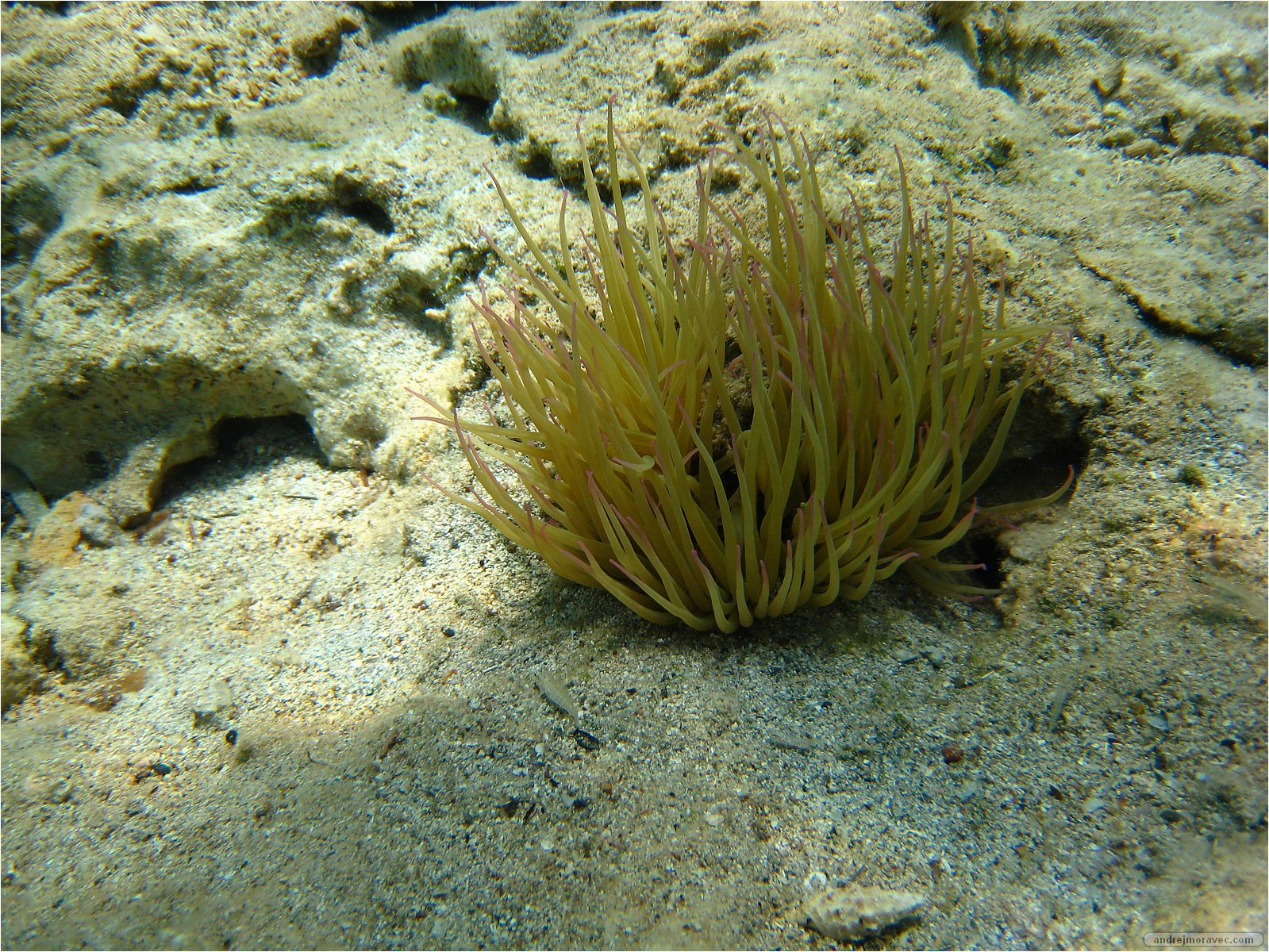 IMG_0928.JPG
