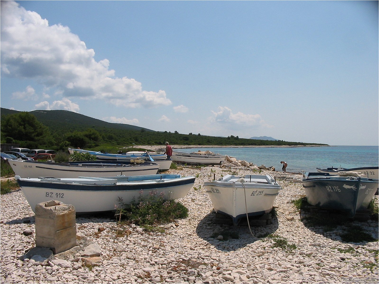 IMG_2793.jpg