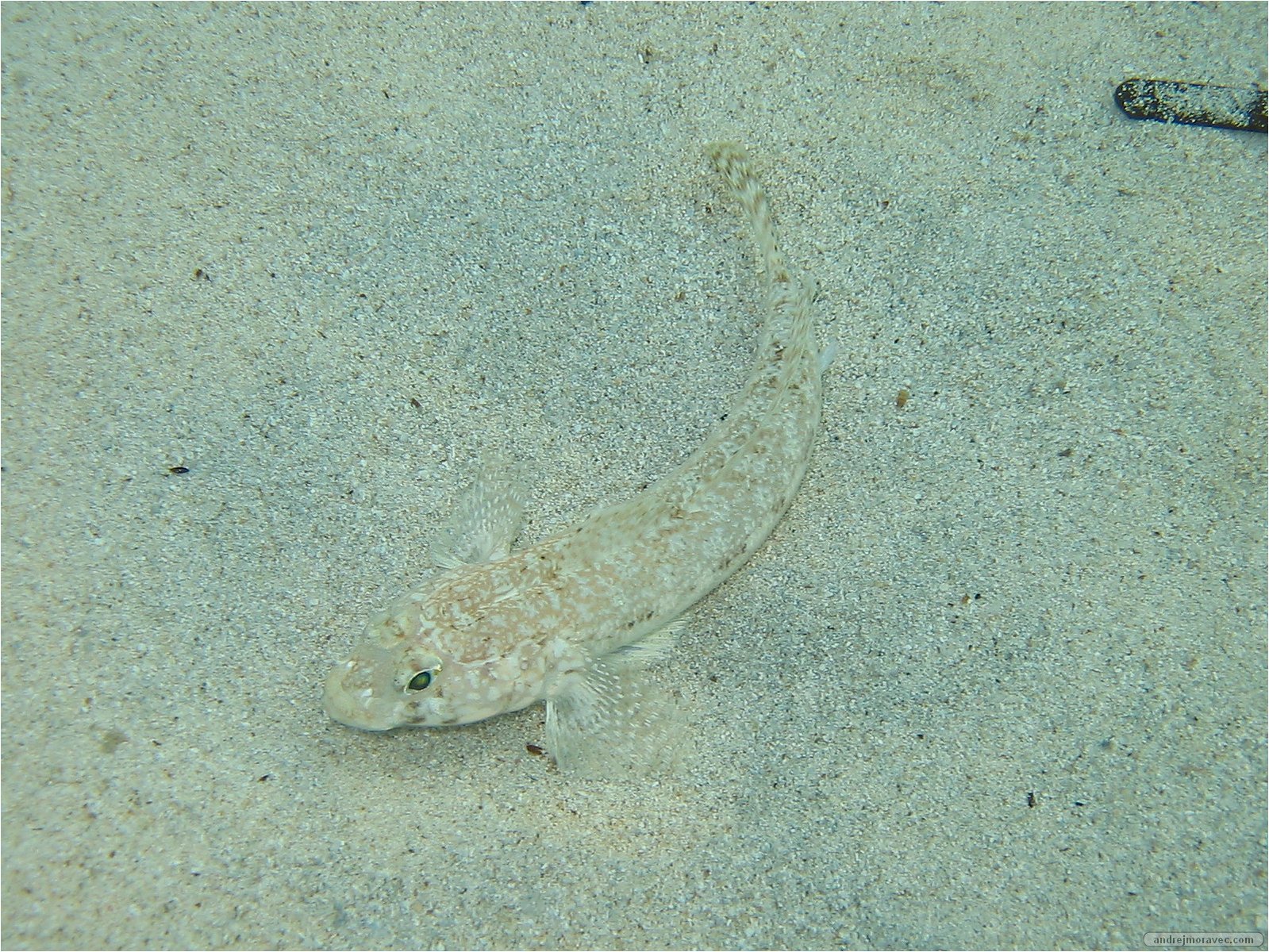 IMG_3114.jpg