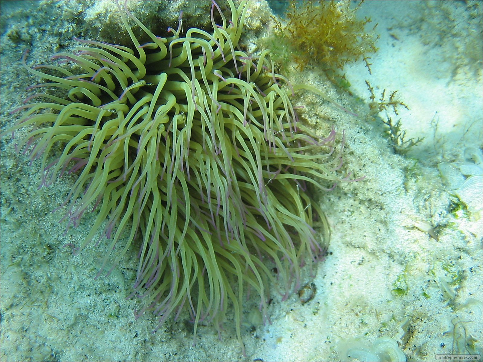 IMG_3529.jpg