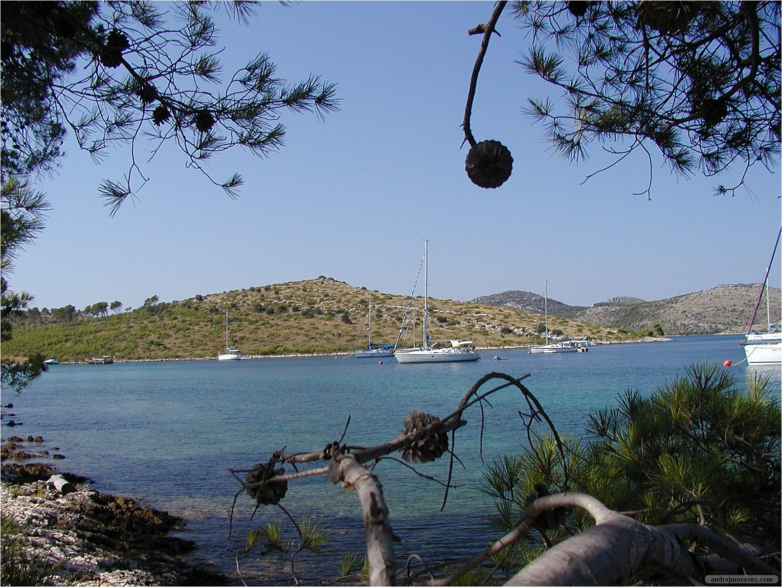 P7272769.JPG