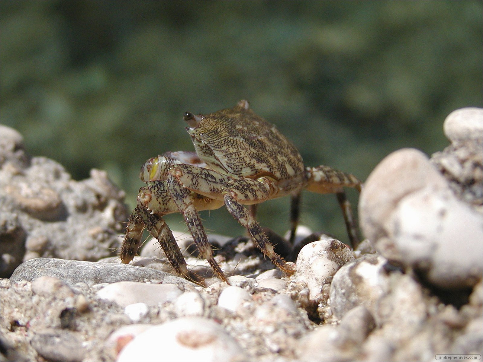 P7282839.JPG