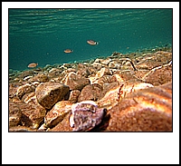 IMG_0968.JPG