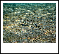 IMG_1899.JPG