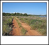 IMG_2430.jpg
