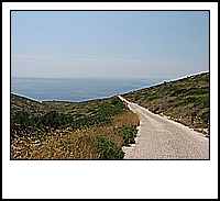 IMG_2591.jpg