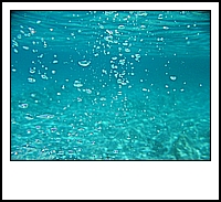 IMG_2669.jpg