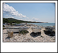IMG_2793.jpg