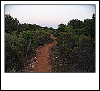 IMG_3317.jpg