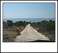 IMG_3363.jpg