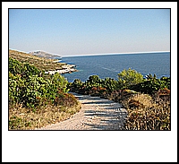 IMG_3462.jpg