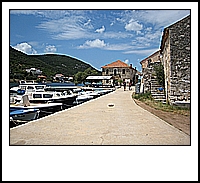 IMG_5629.JPG