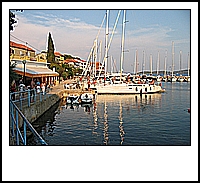 IMG_6019.JPG
