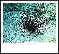 IMG_6097.JPG