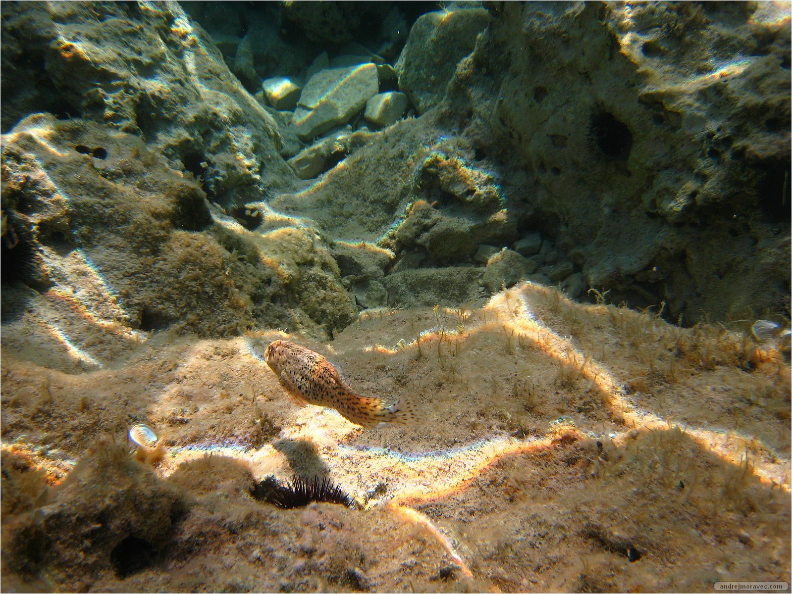 IMG_1035.JPG