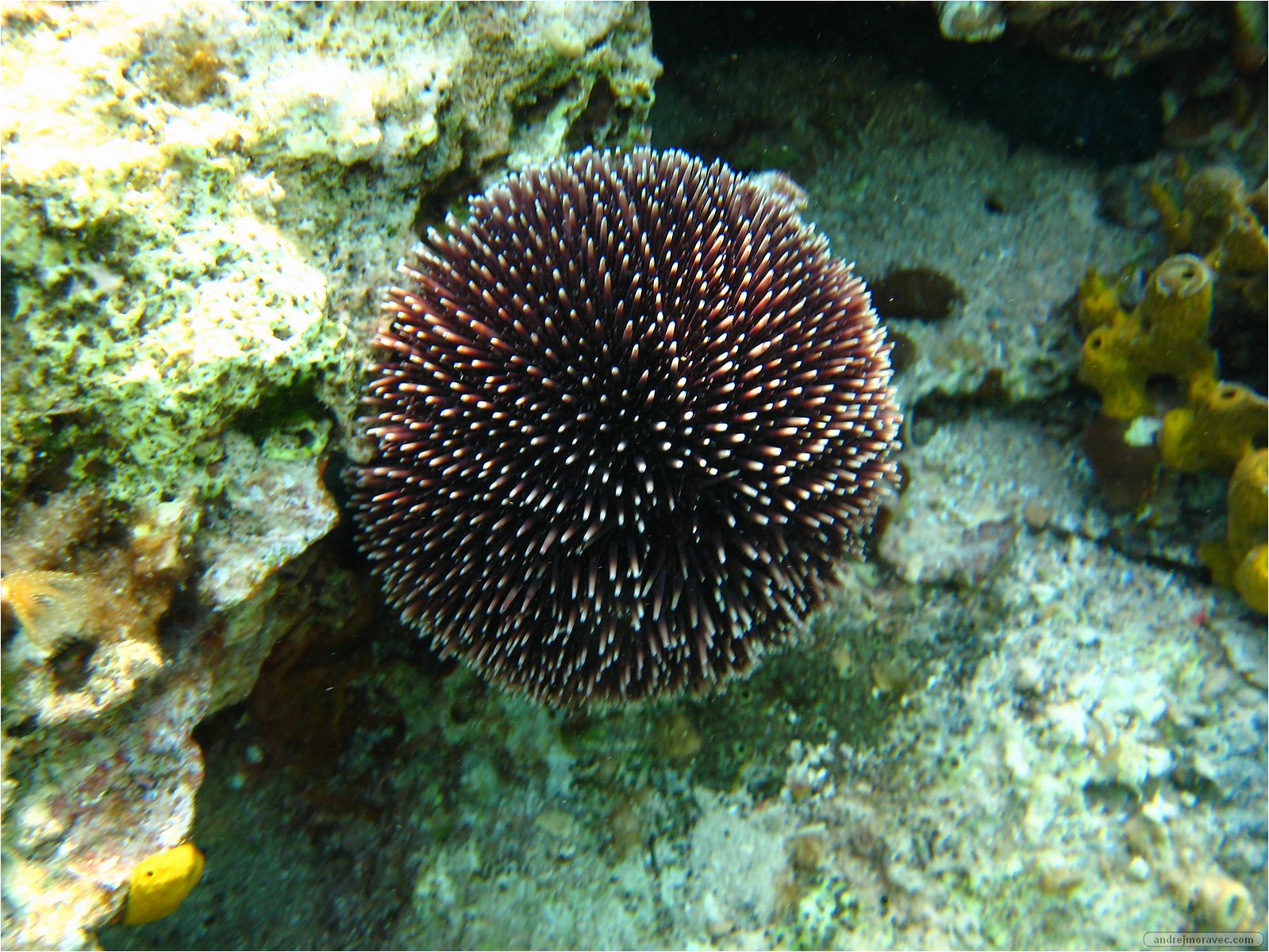 IMG_1425.JPG