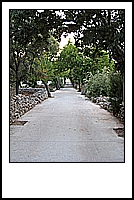 IMG_1760.JPG