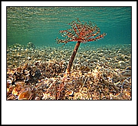 IMG_1929.JPG