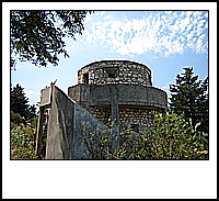 IMG_2280.jpg